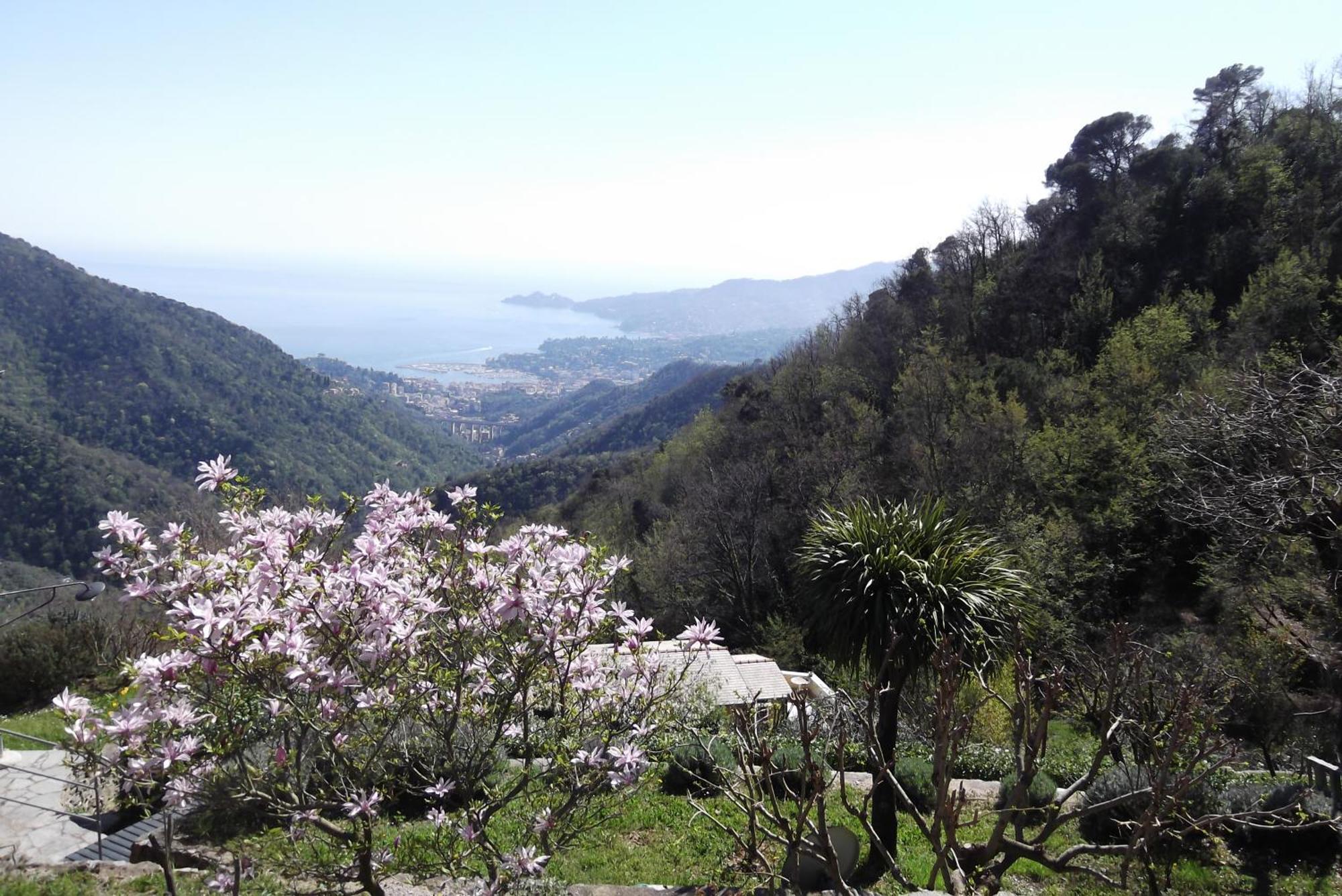 Vista Portofino Διαμέρισμα Ραπάλο Εξωτερικό φωτογραφία