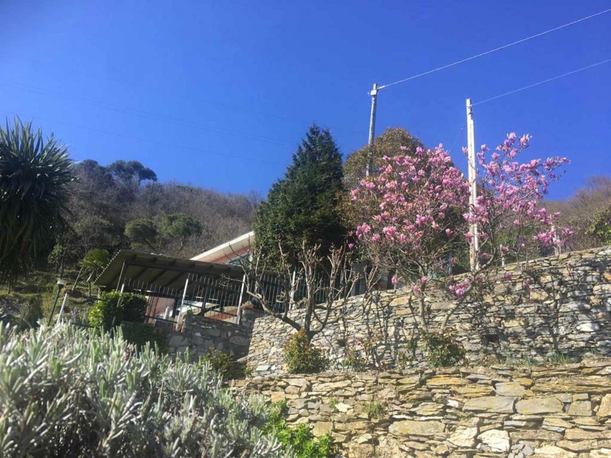 Vista Portofino Διαμέρισμα Ραπάλο Εξωτερικό φωτογραφία