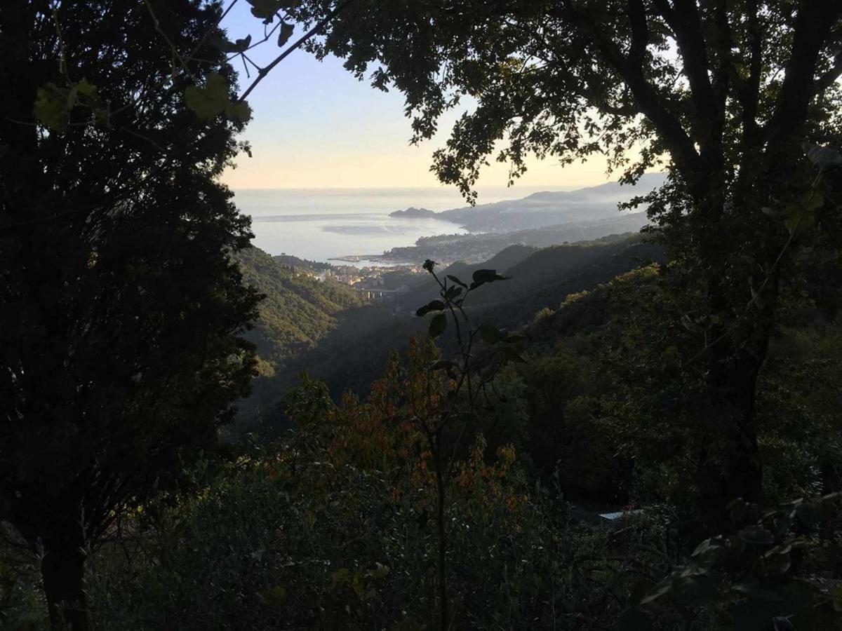 Vista Portofino Διαμέρισμα Ραπάλο Εξωτερικό φωτογραφία