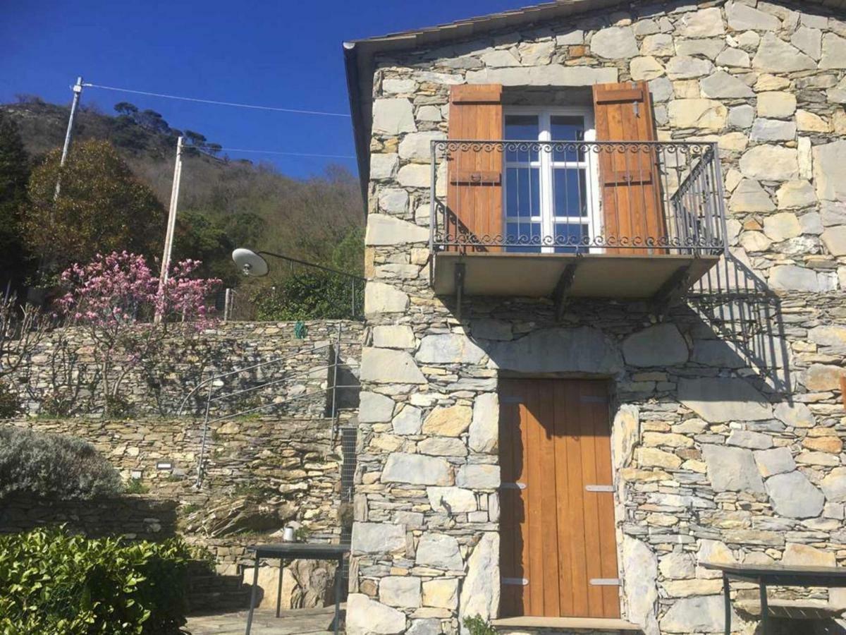 Vista Portofino Διαμέρισμα Ραπάλο Εξωτερικό φωτογραφία