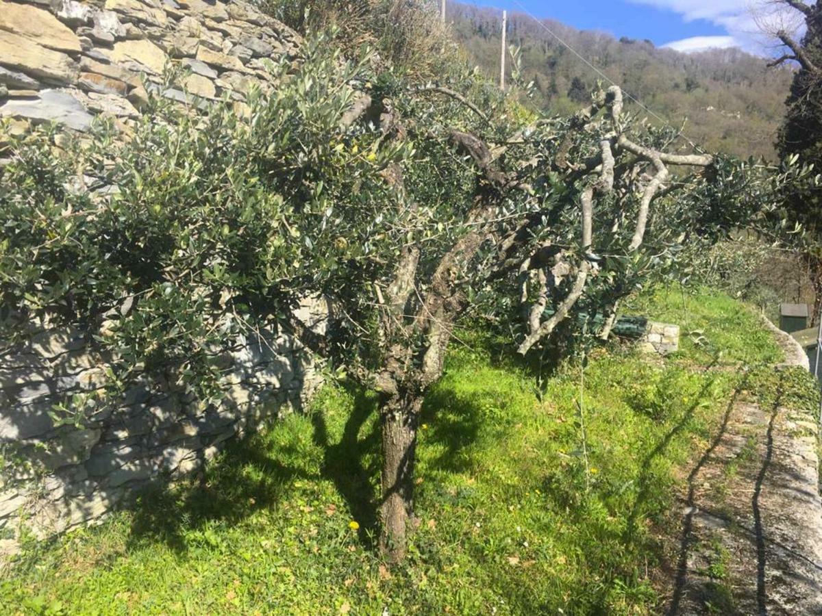 Vista Portofino Διαμέρισμα Ραπάλο Εξωτερικό φωτογραφία