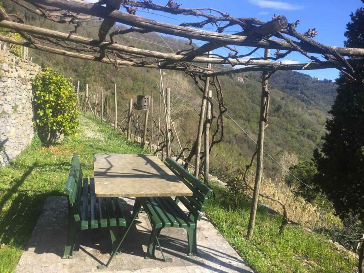 Vista Portofino Διαμέρισμα Ραπάλο Εξωτερικό φωτογραφία